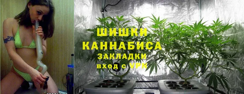 Каннабис LSD WEED  где купить наркоту  Рыльск 